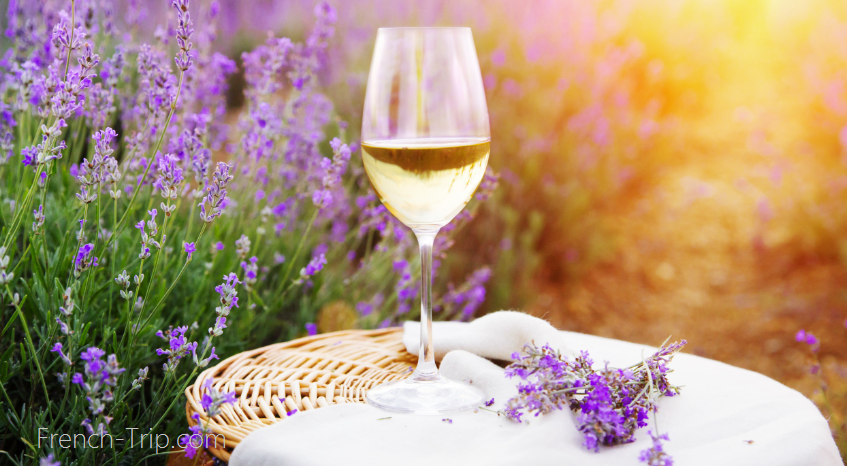 Provencal wine - AOC Cote de Provence - provence vineyards and rose wine