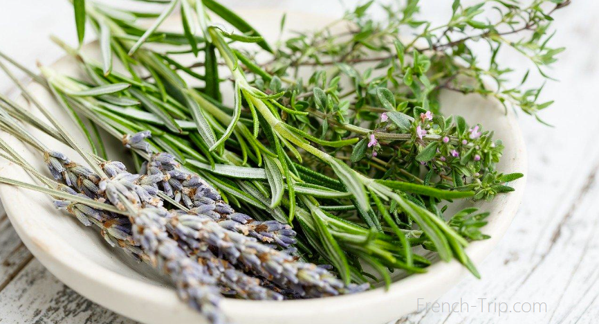 Provence cuisine provencal lavender spices and herbs