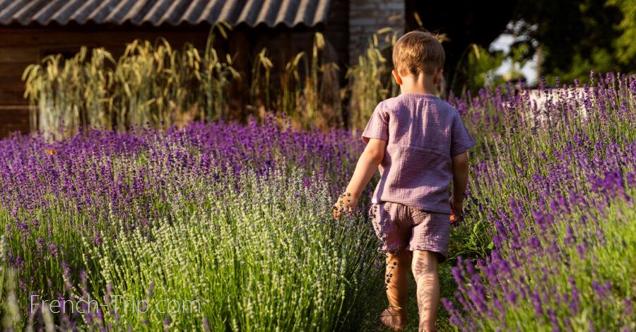 Provence with kids