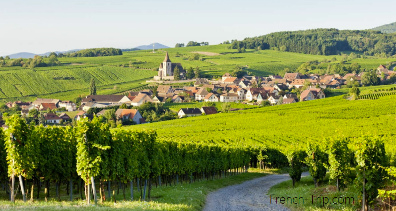 Hunawihr alsace vineyards