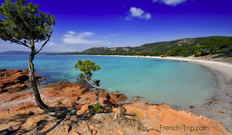 Porto-Vecchio beach corsica Palomaggia beach