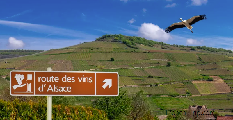 Alsace wine route - Route des vins d'Alsace