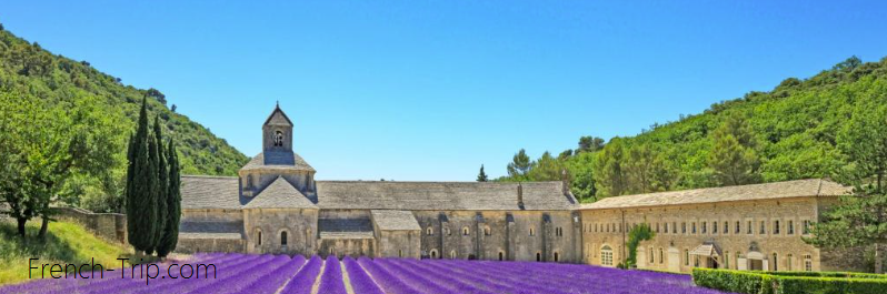 Senanque Abbey, Provence, France - the complete practical travel guide to Abbaye Notre-Dame de Sénanque. How to get in, to visit, lavender fields