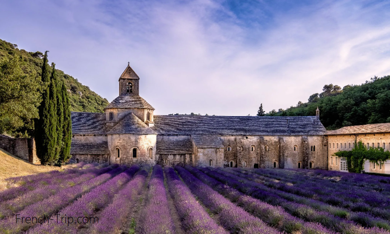 Senanque Abbey, Provence, France - the complete practical travel guide to Abbaye Notre-Dame de Sénanque. How to get in, to visit, lavender fields