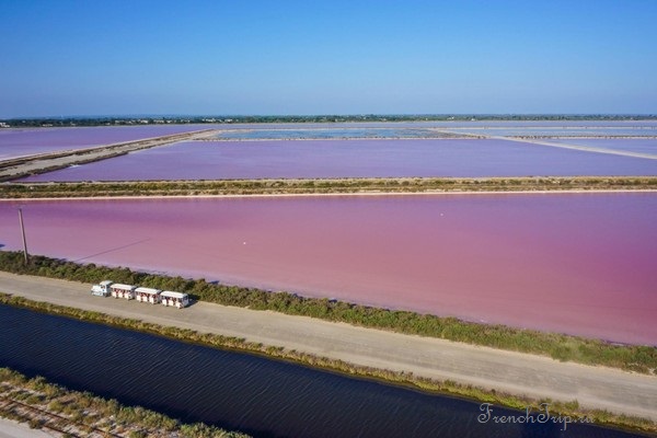 Pink salt pans beside Aigues-Mortes