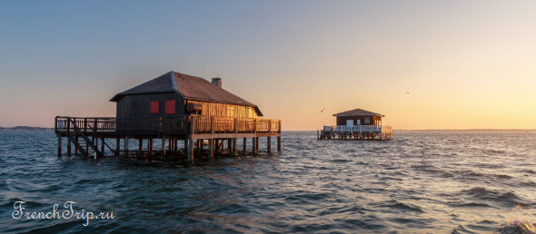 The cabanes tchanquees on stilts in Arcachon bay at sunset