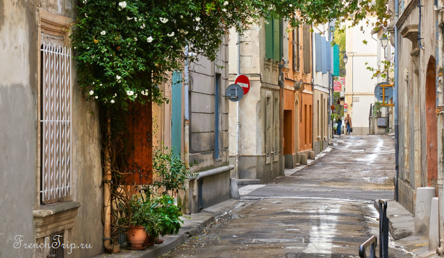 A quiet old street in Arles with roses climbing a wall