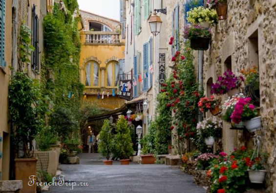 A flowered street in the village of Biot