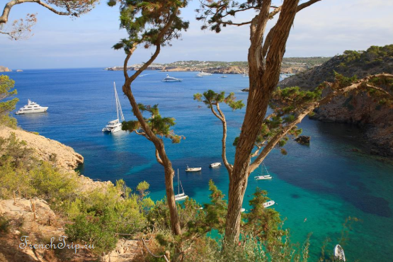 A small cove with turquoise water on the Cap Ferrat coast