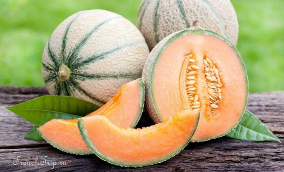 Cavaillon melons cut open