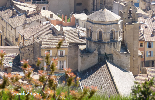 The roofs and cathedral of Cavaillon