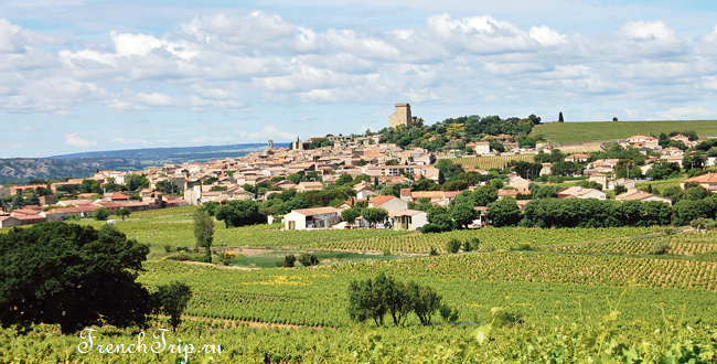 The village of Châteauneuf-du-Pape among its vineyards