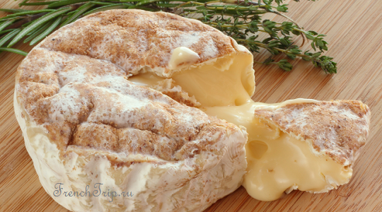 A ripe camembert running at room temperature