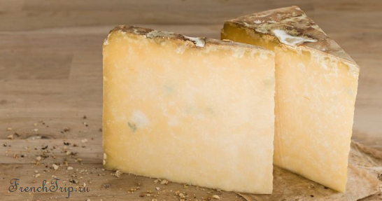 A cut piece of Cantal
