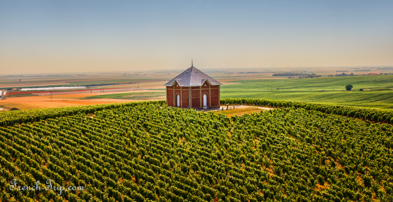 Moët & Chandon vineyards above Épernay