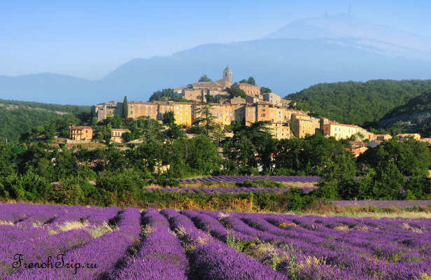 A hilltop village above lavender fields near Forcalquier