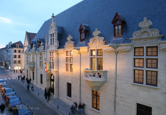 The Ducal Palace in Nancy