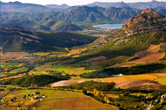 Vineyards of the Conca d'Oru above the gulf of Saint-Florent in Corsica