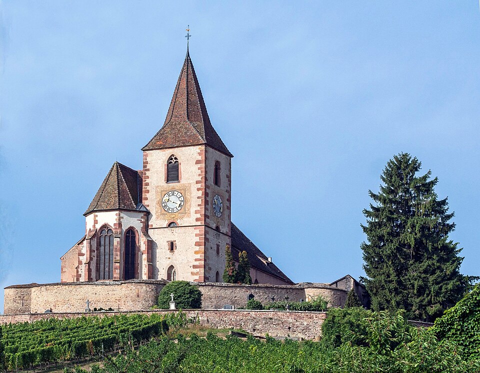 The fortified church of Hunawihr standing above the vineyards