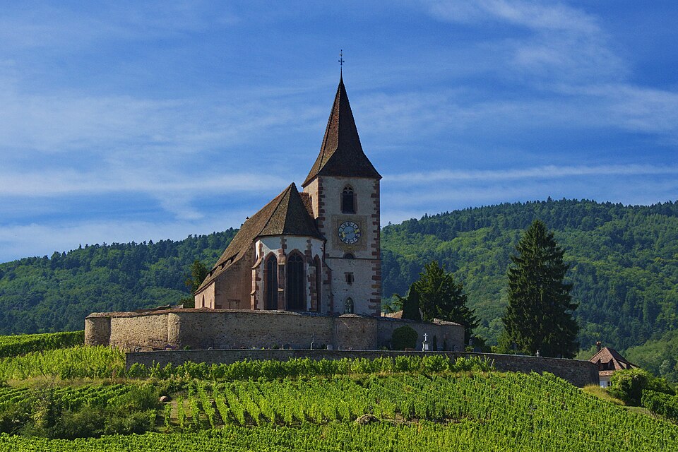 The walled church of Hunawihr surrounded by vines