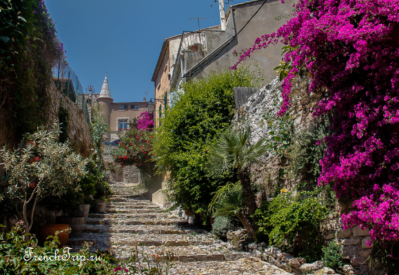 A stepped lane with bougainvillea in Hyères
