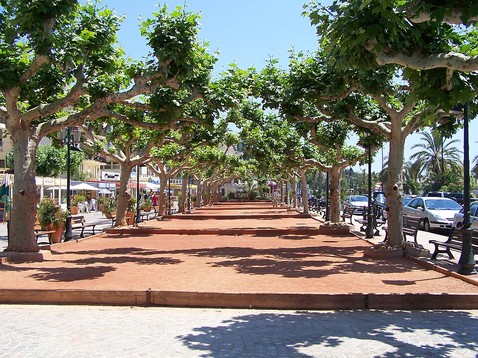 The plane-tree promenade at Le Lavandou