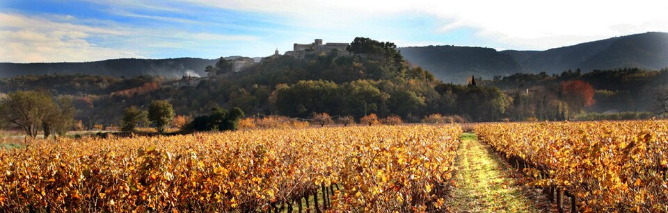 Ménerbes on its ridge above autumn vineyards in the Luberon