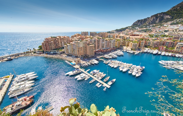 The harbour of Monaco seen from above, full of yachts
