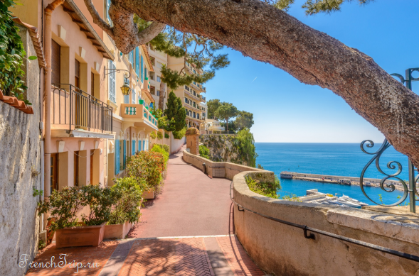 A shaded path along the shore in Monaco