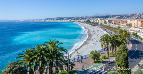Promenade des Anglais in Nice, palms and the Belle Époque seafront