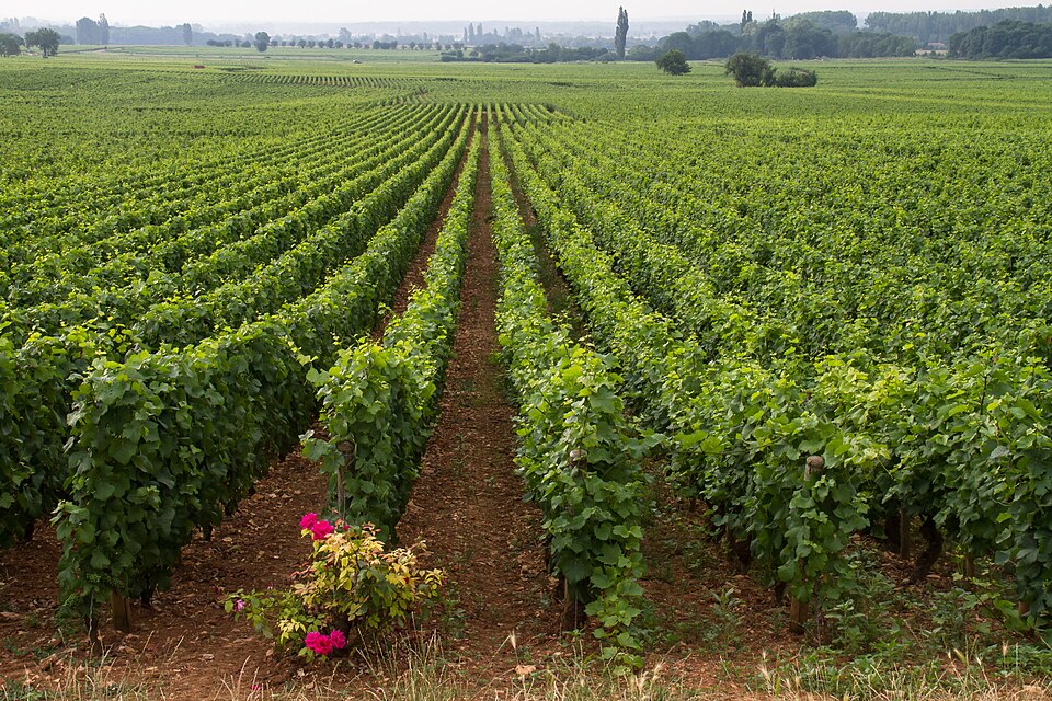 Bourgogne Franche Comte