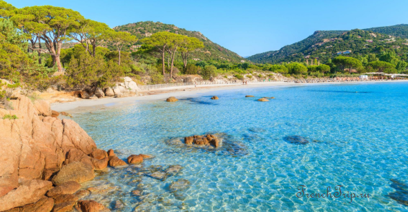 A turquoise bay with pines on Porquerolles