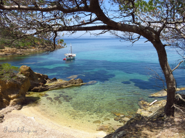 A sheltered cove with clear water on Porquerolles