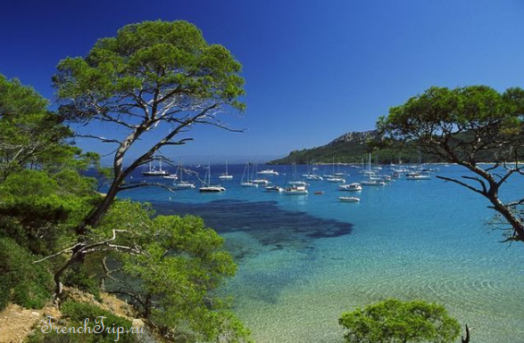 Boats moored in the harbour of Port-Cros
