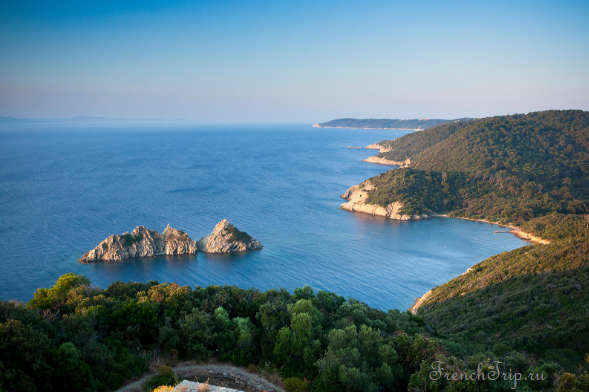 The wooded coast and clear water of Port-Cros
