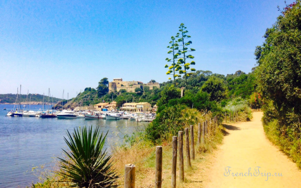 A footpath along the coast on Port-Cros