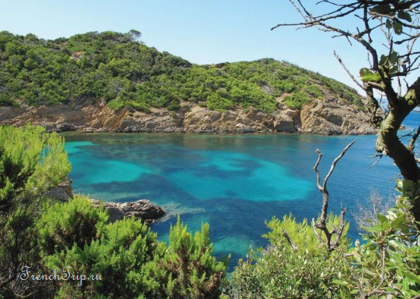 A cove with clear water seen through the trees on Port-Cros