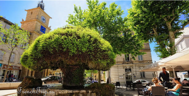 The moss-covered fountain on Place Crousillat in Salon-de-Provence