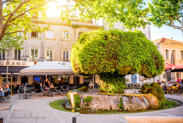 Café terraces around the mossy fountain in Salon-de-Provence
