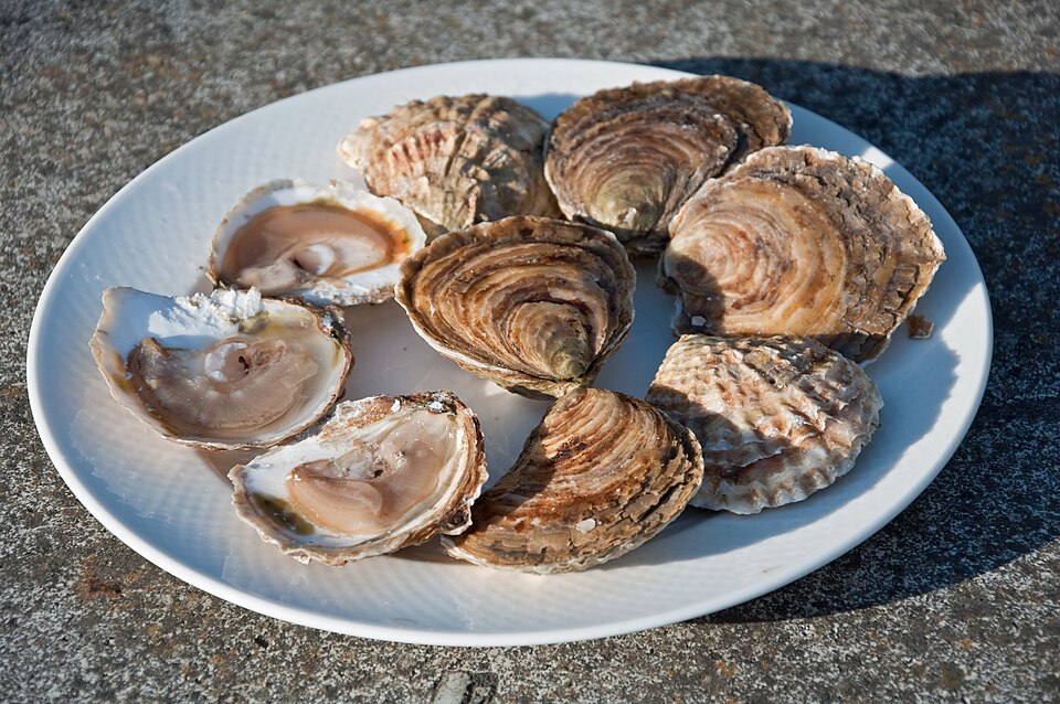 French oysters