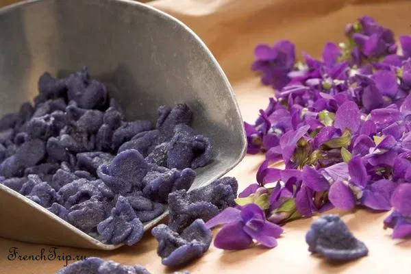 Candied violets of Toulouse