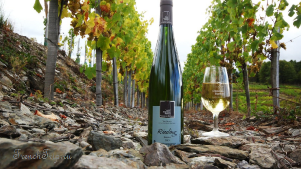 A bottle and glass of Alsace wine among the vines
