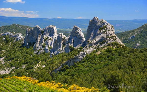 The limestone crests of the Dentelles de Montmirail