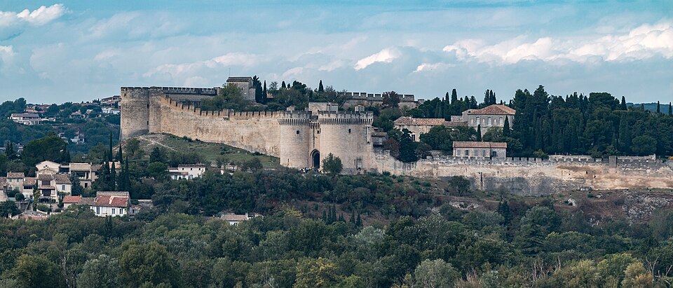 The walls and towers of Fort Saint-André