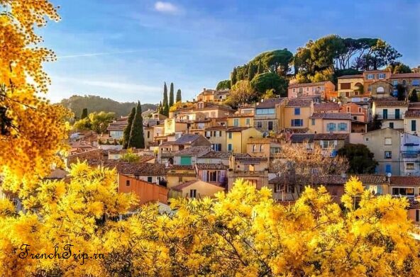 The medieval village of Bormes-les-Mimosas on its hillside above the sea