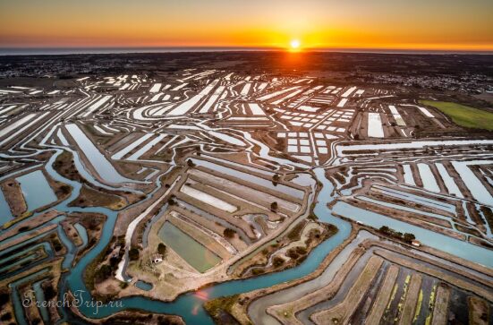 Oyster farm in the claires of Marennes-Oleron, Charente-Maritime