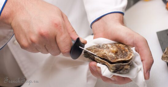 Opening an oyster with a short blunt oyster knife